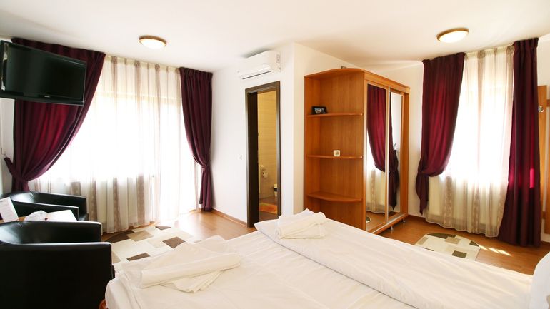 Casa Micu - Interior