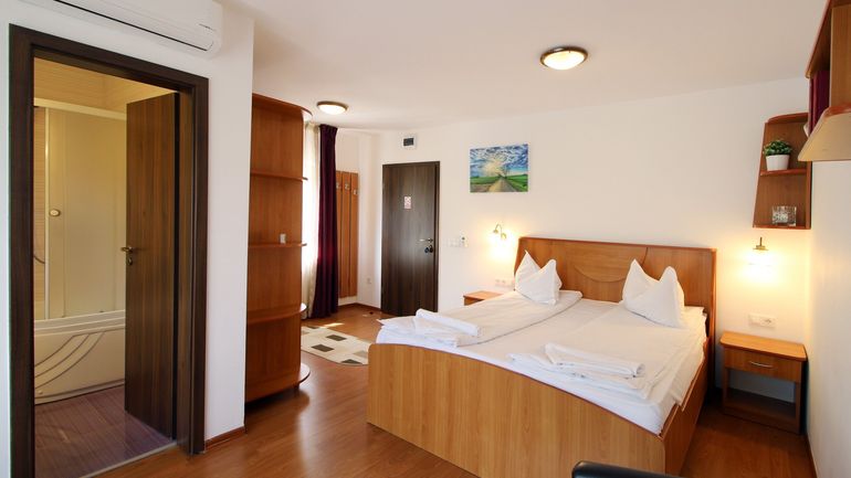 Casa Micu - Cameră